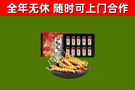 南平烟酒回收冬虫夏草礼盒.jpg