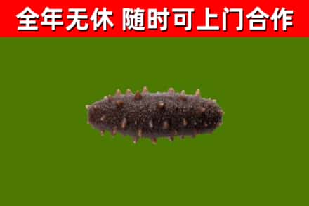 南平烟酒回收干海参.jpg